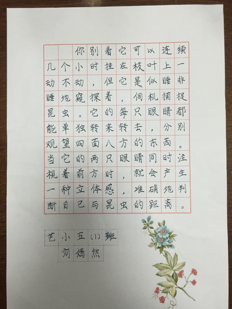 [丹青妙笔]笔尖上的梦想——学生硬笔书法欣赏(高年级)